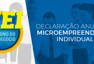 Eu vou fazer sua declaração micro empreendedor individual