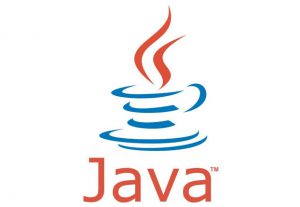 Eu vou fazer seu trabalho de programação em Java