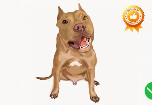 Eu vou fazer a melhor caricatura do seu cachorro!