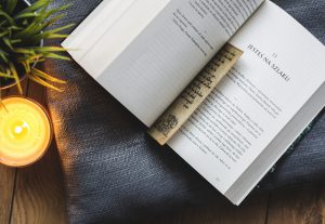Eu vou escrever textos e legendas para seu blog ou rede soci...