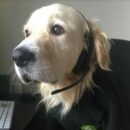 Foto do perfil do trabalhador freelancer