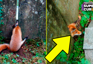 Eu vou fazer thumbnails com ClickBait e Títulos Chamativos