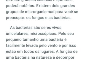 Eu vou transcrever um áudio ou um vídeo para você