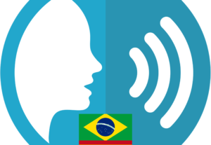 Eu vou transcrever seu áudio em Português ou Espanhol