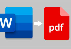 Eu vou Passar seus textos PDF para Word ou vice-versa.