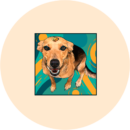 Foto do perfil do trabalhador freelancer