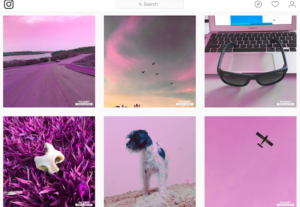 Eu vou fazer uma paleta de cores para o seu instagram