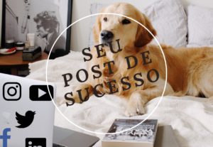 Eu vou criar posts para as suas redes sociais