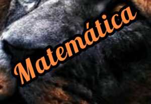 Eu vou auxiliar em atividades matemáticas