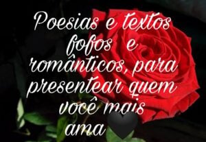 Eu vou criar uma poesia ou um texto para você