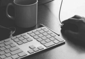 Eu vou Digitar Seu PDF ou Documento Escaneado