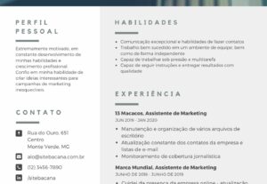 Eu vou Fazer um ótimo currículo para você
