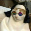 Foto do perfil do trabalhador freelancer