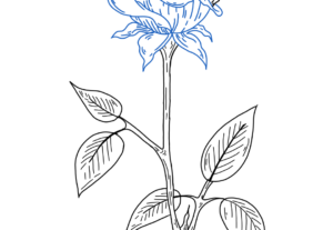 Eu vou criar uma arte exclusiva para o seu produto