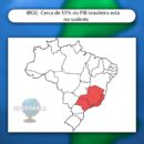 Foto do perfil do trabalhador freelancer