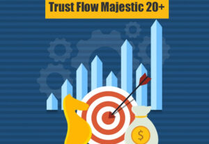 Eu vou Aumentar o TF Majestic Trust Flow Para 20+