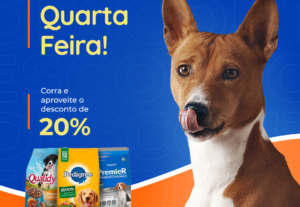 Eu vou fazer um post para suas redes sociais e um stories.