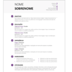 Eu vou fazer seu curriculo e sua carta de apresentação em 12...