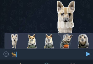 Eu vou transformar suas fotos em stickers...