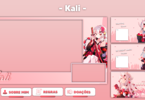 Eu vou fazer overlays customizados para sua live