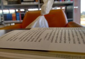 Eu vou escrever seu livro ou conto de ficção bem escrito