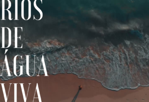 Eu vou fazer uma lista de ideias criativas para post