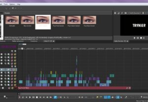 Eu vou editar seu vídeo da forma que você quiser