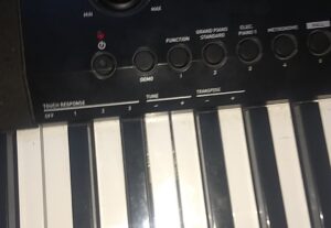 Eu vou gravar algo no piano para você