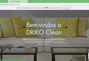 Eu vou criar o seu site profissional