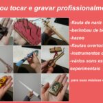Eu vou tocar e gravar flauta nasal/kazoo/etc para a sua músi...