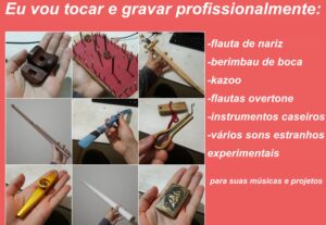 Eu vou tocar e gravar flauta nasal/kazoo/etc para a sua músi...