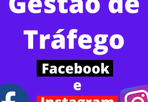 Eu vou Fazer a Melhor Gestão de Tráfego para Você.