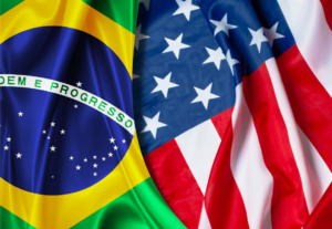Eu vou traduzir o seu texto ou E-book