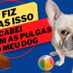 Eu vou fazer uma capa persuasiva para seu vídeo no YouTube