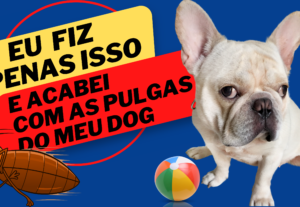 Eu vou fazer uma capa persuasiva para seu vídeo no YouTube