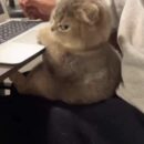 Foto do perfil do trabalhador freelancer