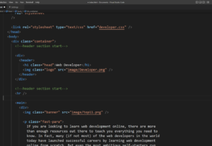 Eu vou fazer o front-end inteiro do seu site