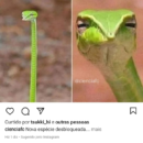 Foto do perfil do trabalhador freelancer