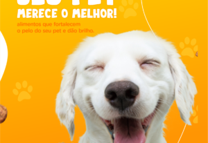Eu vou criar suas artes para as redes sociais