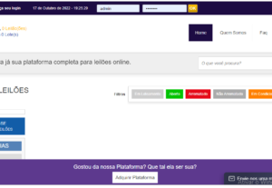 Eu vou criar um site de leilão