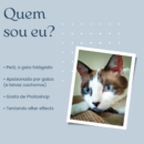 Foto do perfil do trabalhador freelancer