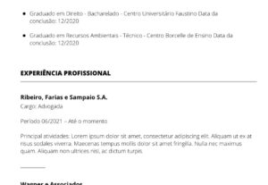 Eu vou fazer seu currículo profissional