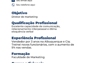 Eu vou fazer o seu currículo profissional