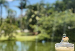 Eu vou fazer vídeos/fotos do seu produto na Serra Gaúcha.