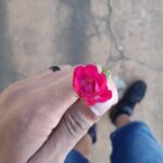 Eu vou Editar sua foto com amor carinho e dedicação.