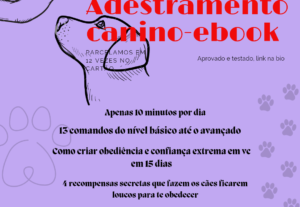 Eu vou criar Designers e Publis personalizados.