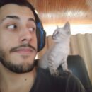 Foto do perfil do trabalhador freelancer