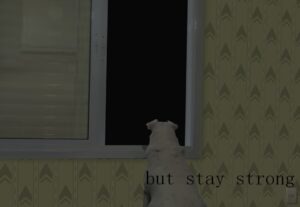 Eu vou editar imagens desde simples até avançadas