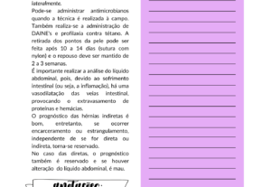 Eu vou fazer resumos de medicina veterinária