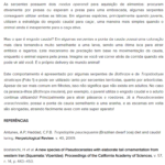 Eu vou escrever/revisar textos de acordo com sua necessidade